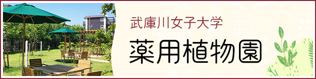 武庫川女子大学薬用植物園